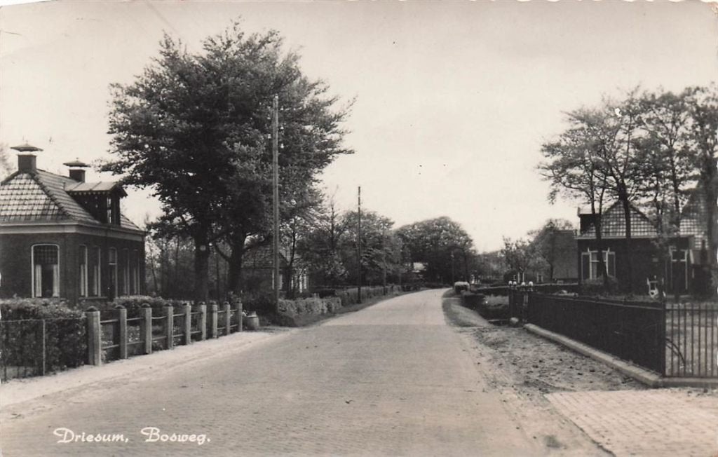 703-168-001 Driesum Bosweg, Verzenden, Voor 1920, Friesland