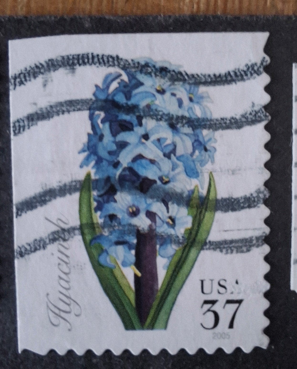 Usa 188 hyacint, Ophalen of Verzenden, Noord-Amerika