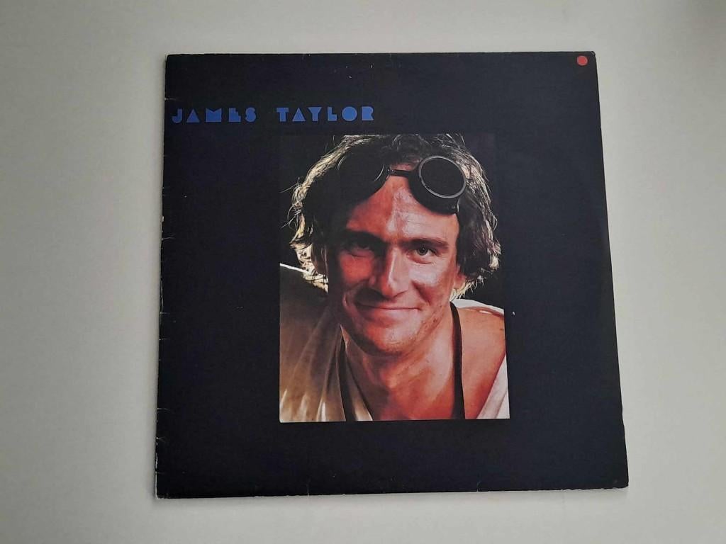 James Taylor, Janis Ian, Jim Capaldi, Jim Croce,Jim Steinman, LP, Rock, Gebruikt, Ophalen of Verzenden