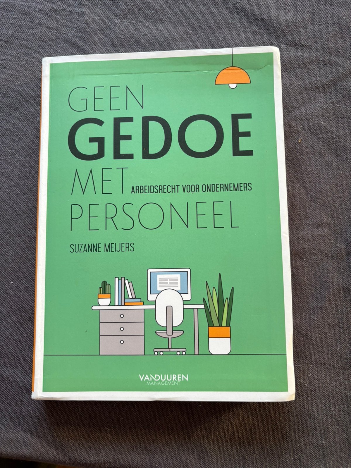 Suzanne Meijer - Geen gedoe met personeel, Boeken, Ophalen of Verzenden, Zo goed als nieuw, Juridisch en Recht, Nederland