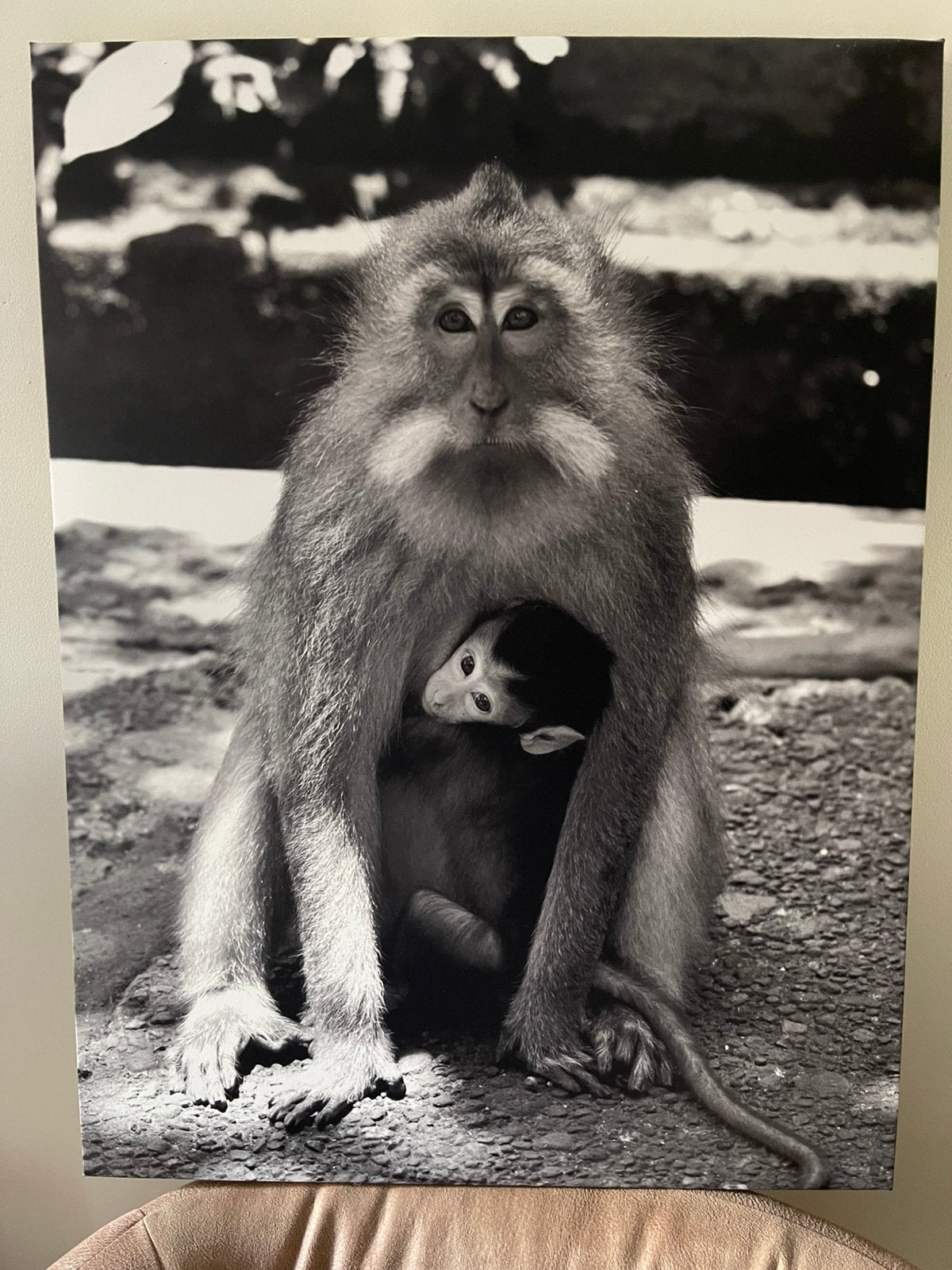 Foto op linnen 60x80, Huis en Inrichting, Woonaccessoires | Schilderijen, Tekeningen en Foto's, Ophalen, Zo goed als nieuw, Foto of Poster