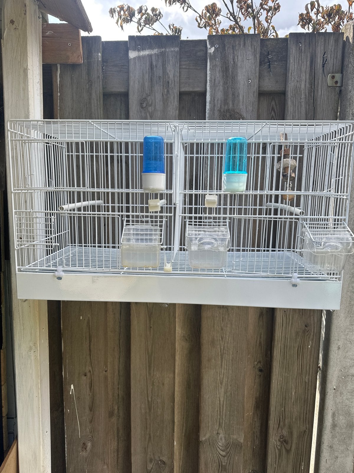 Vogelkooi/broedkooi, Ophalen, Zo goed als nieuw, Metaal, Broedkooi of Kweekkooi