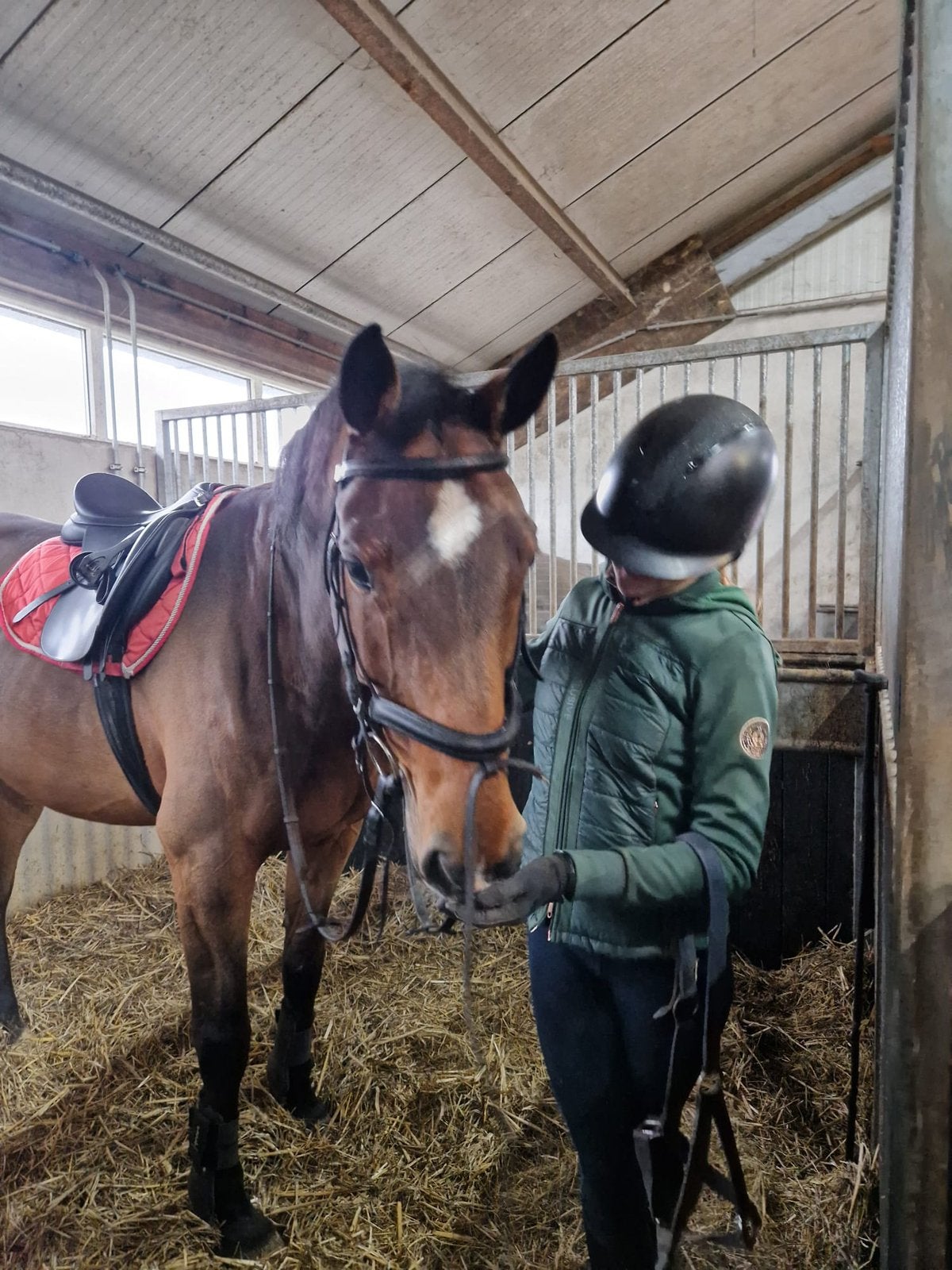 Verzorgpony gezocht, Ophalen of Verzenden, Zo goed als nieuw