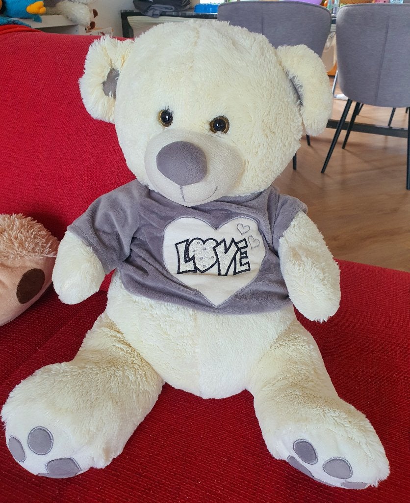 Teddybeer, Kinderen en Baby's, Speelgoed | Knuffels en Pluche, Beer, Ophalen of Verzenden, Zo goed als nieuw, Middelgroot (20 tot 80 cm)