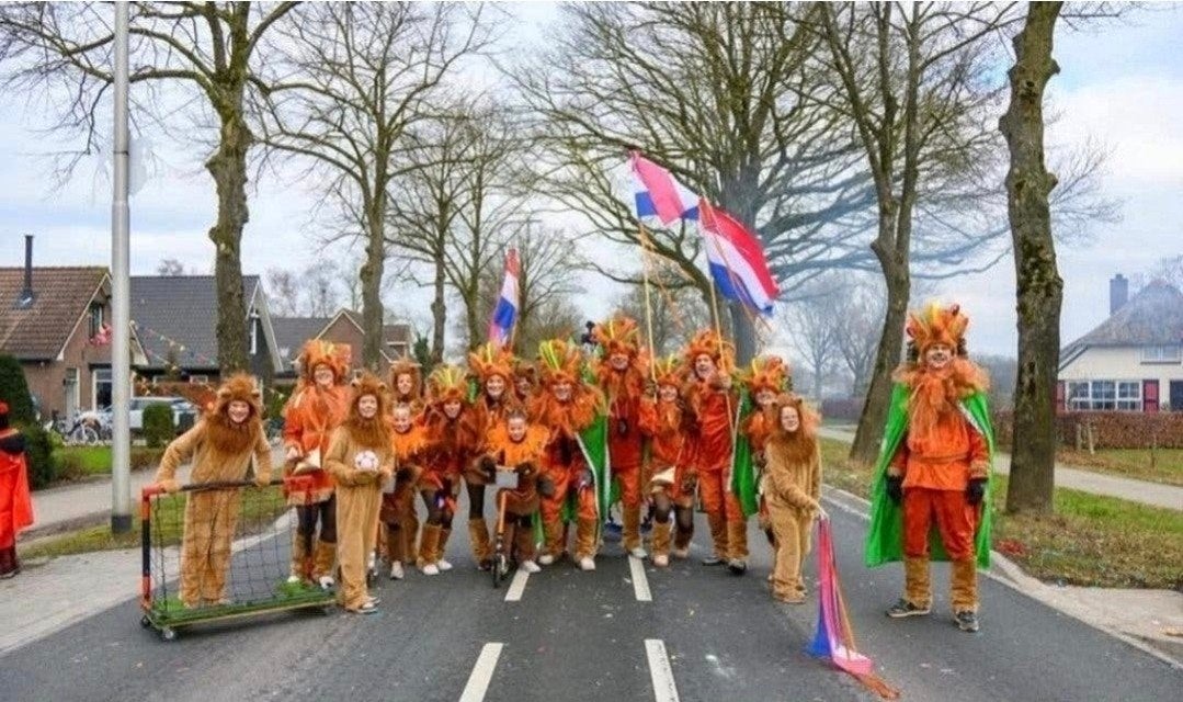 Complete Leeuwen Carnavalskleding Set (9 Pakken) loopgroep, Ophalen, Carnaval, Maat 42/44 (L), Kleding