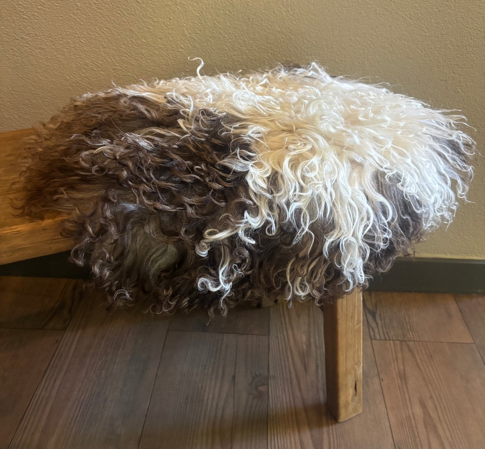 Chairpad, Ophalen of Verzenden, Nieuw
