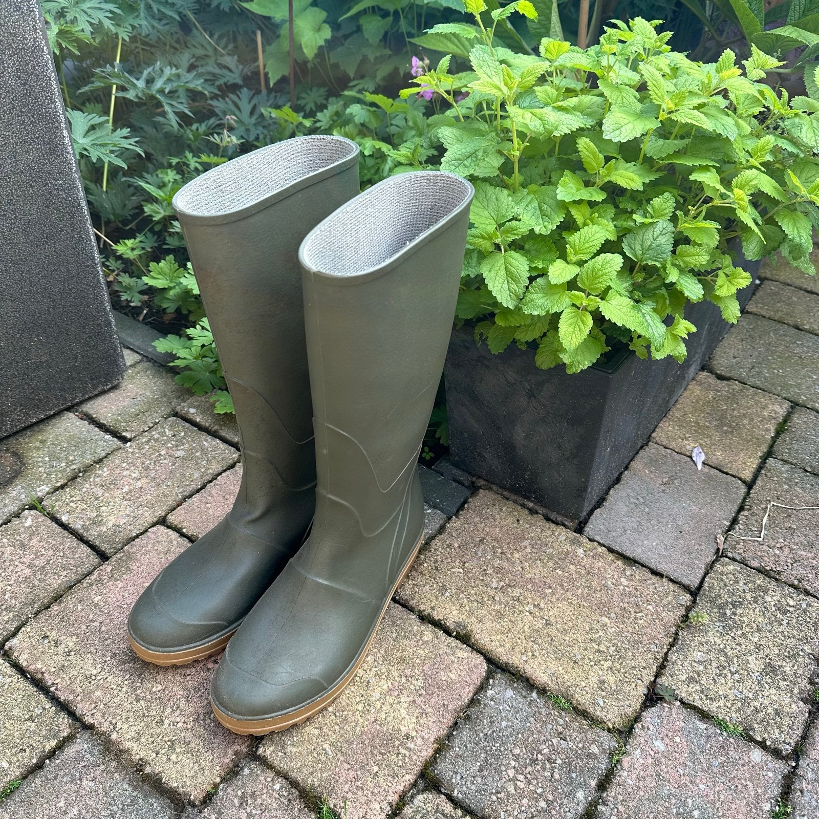 Nieuwe regenlaarzen, maat 40, Ophalen of Verzenden, Nieuw