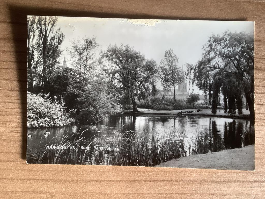 ansichtkaart Voorschoten, Verzamelen, Ophalen of Verzenden, Gelopen