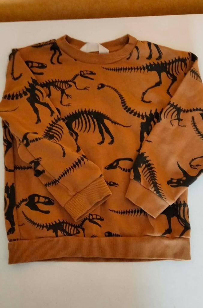 trui / sweater dino H & M maat 110, Trui of Vest, H&M, Ophalen of Verzenden, Zo goed als nieuw
