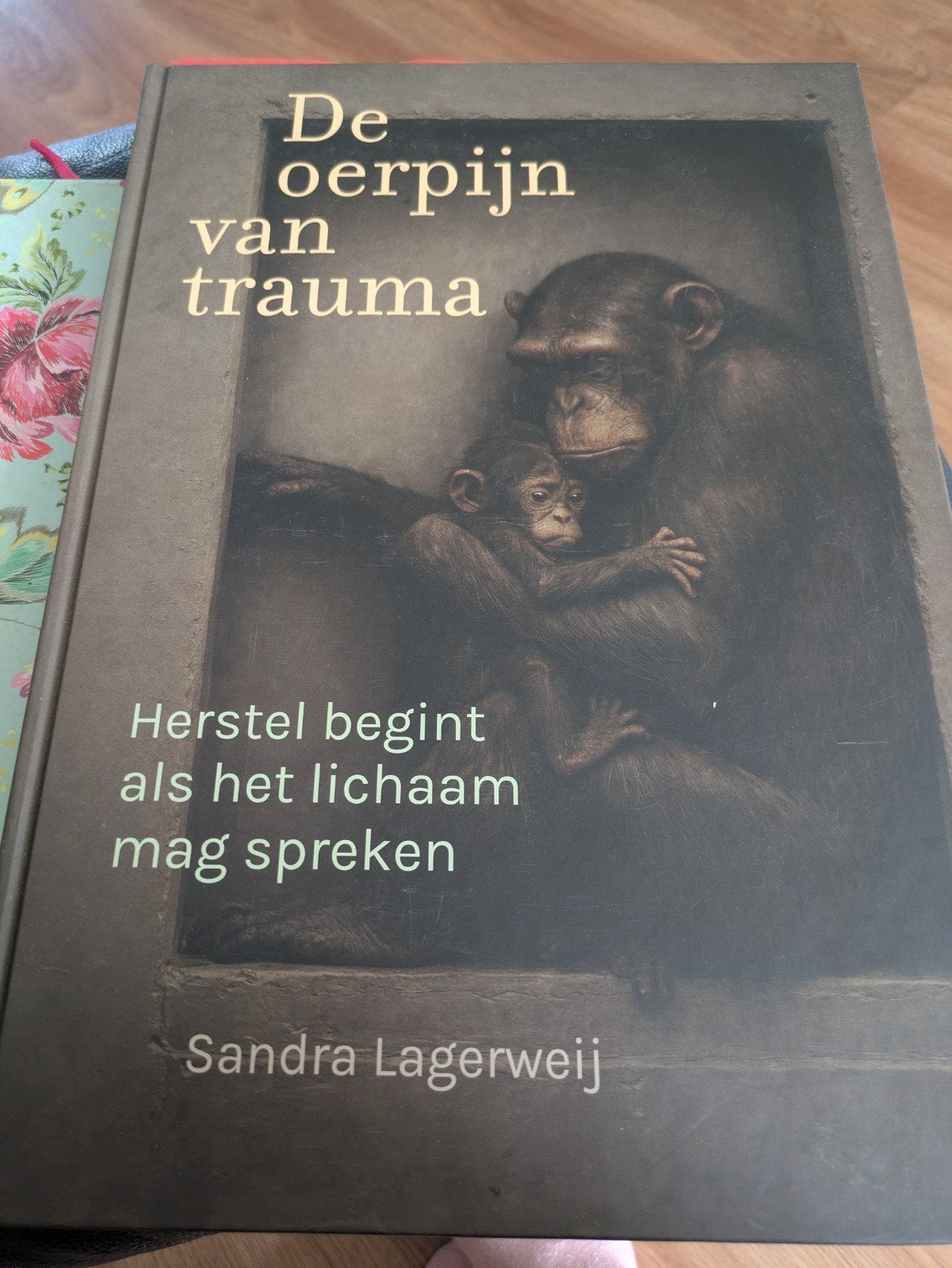 De oerpijn van trauma - Sandra Lagerweij, Boeken, Ophalen of Verzenden, Nieuw, Sandra Lagerweij