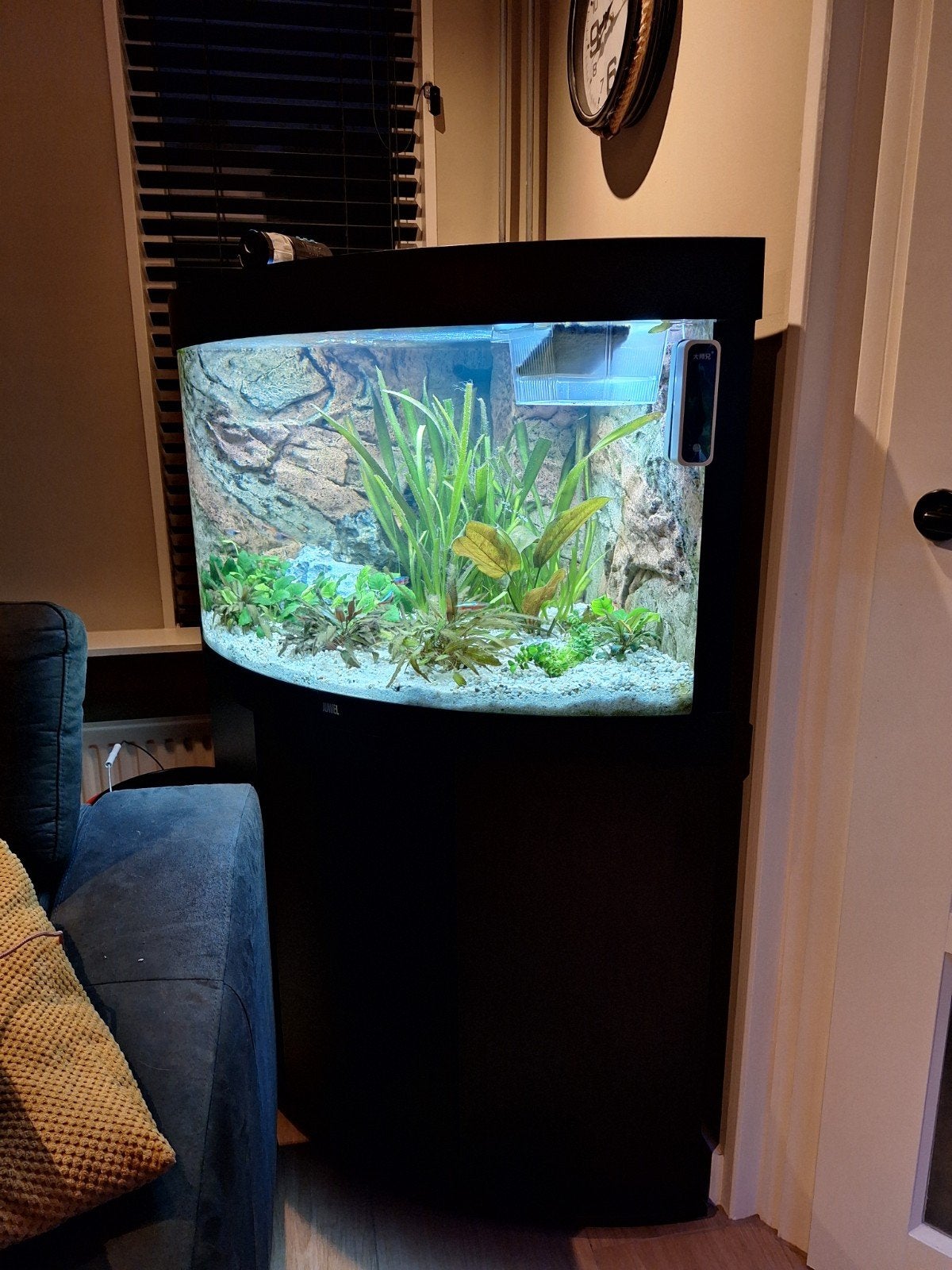 juwel hoek aquarium, Dieren en Toebehoren, Ophalen, Zo goed als nieuw, Aquariummeubel, Juwel