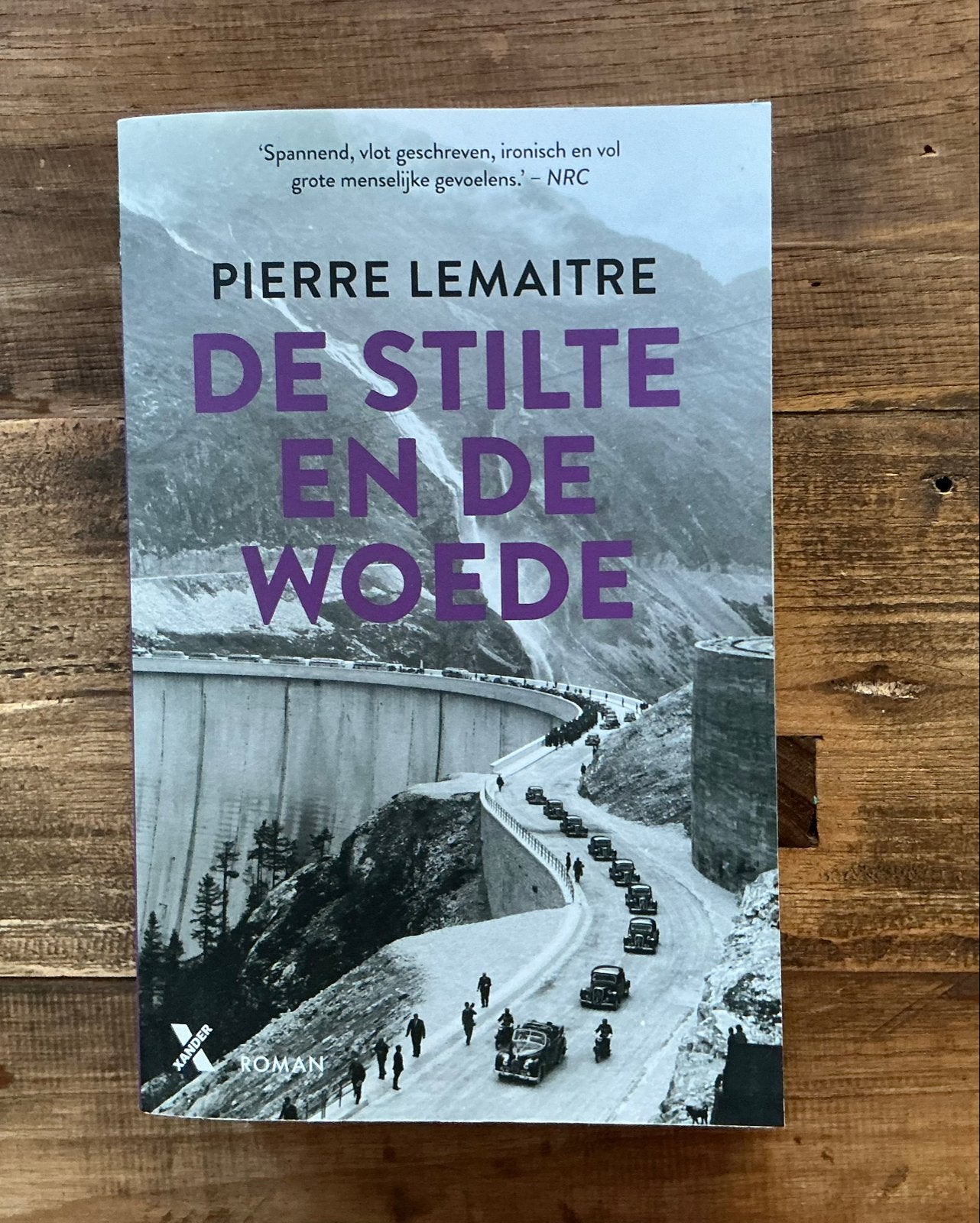 De Stilte en de Woede - Pierre Lemaitre (Roman), Boeken, Verzenden, Nieuw, Europa overig