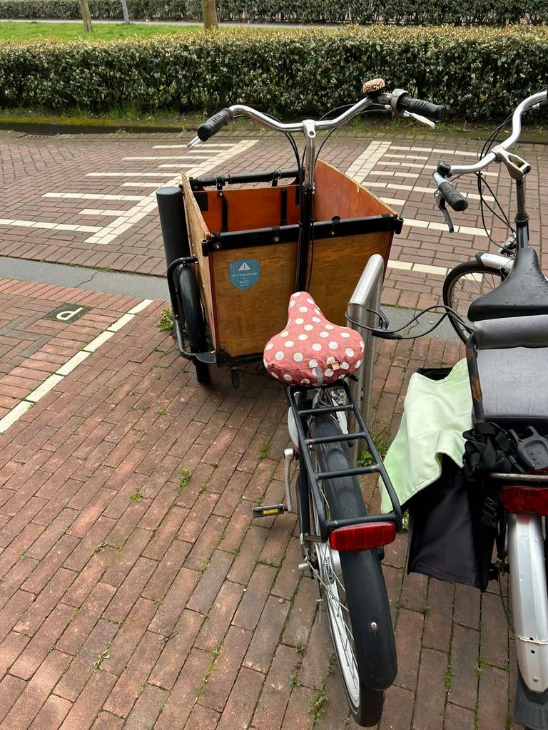 Bakfiets, Fietsen en Brommers, Fietsen | Bakfietsen, Ophalen, Gebruikt, 3 kinderen, Overige merken