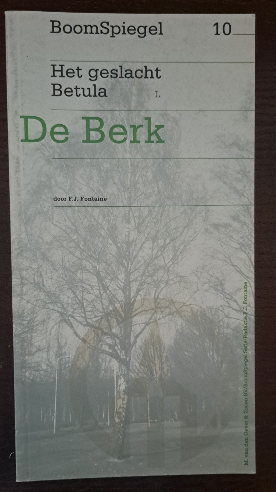 Boomspiegel, 3 delen, Ophalen of Verzenden