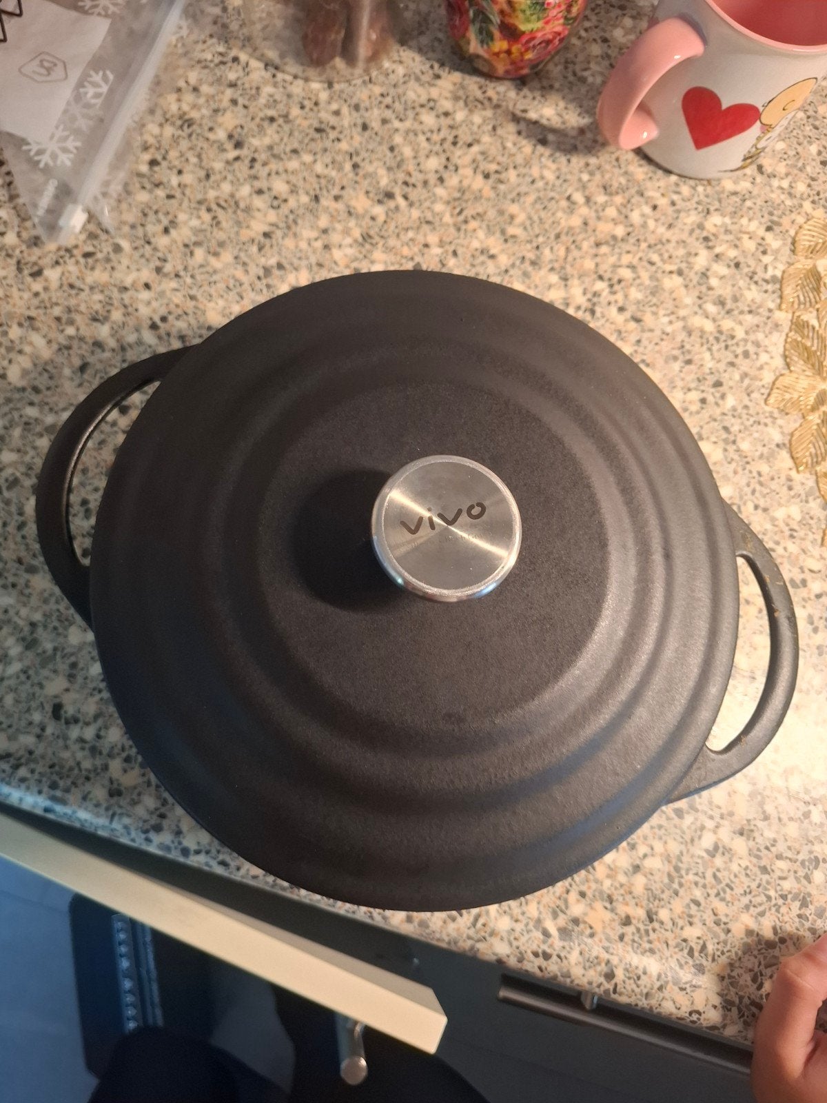 Vivo Gietijzeren Braadpan 4.2L - Zwart, Ophalen, Zo goed als nieuw, Met deksel, Overige merken