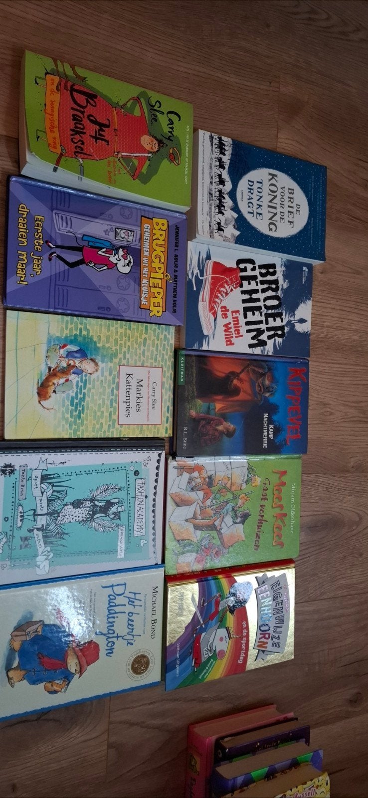 Diverse kinderboeken: Dagboek van een muts, Kippenvel, etc., Ophalen, Gelezen
