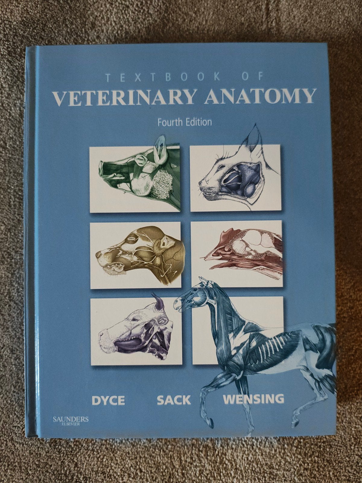 Textbook of Veterinary Anatomy - Fourth Edition, Dyce, Sack, Wensing, Ophalen of Verzenden, Beta, WO