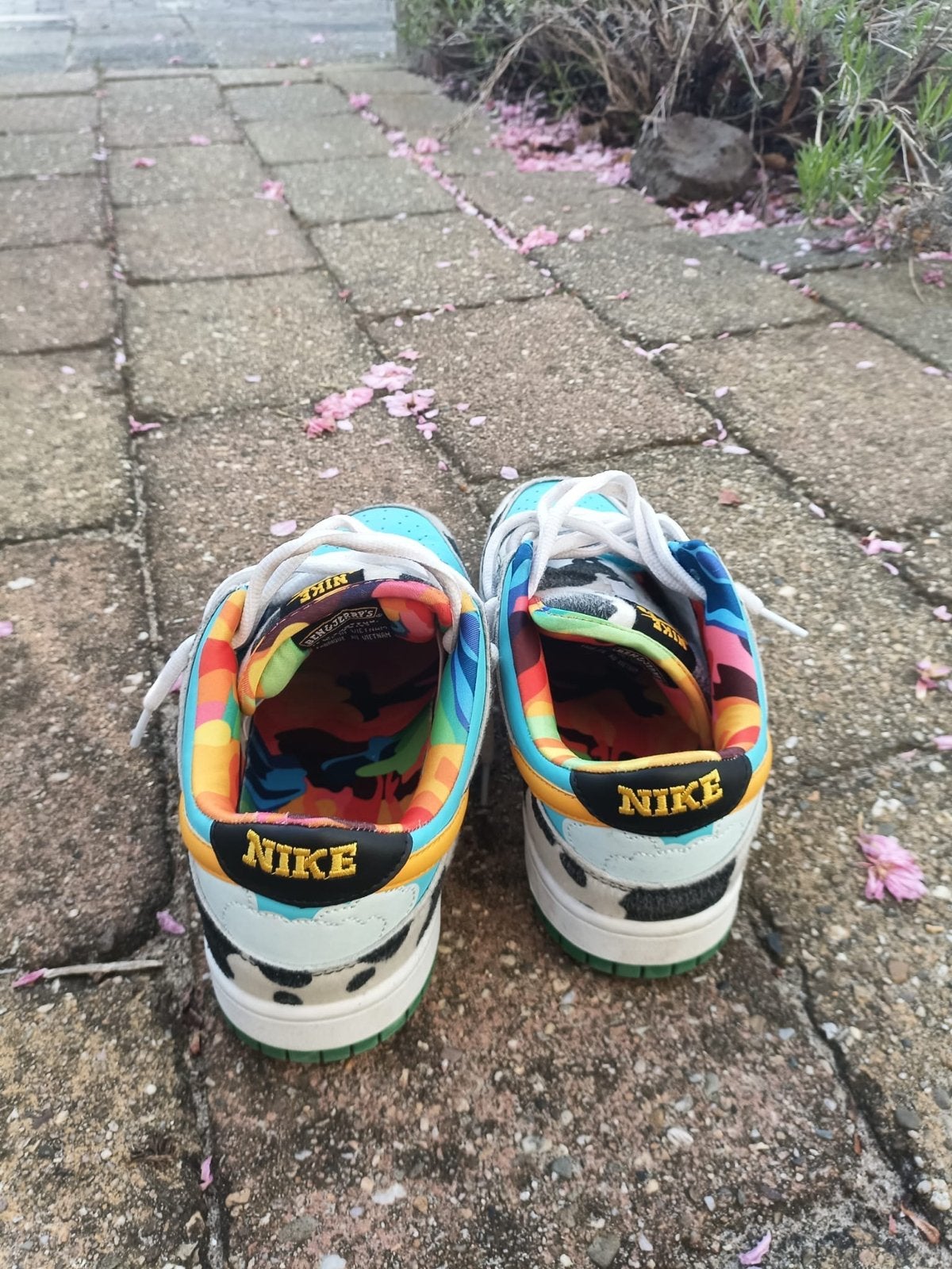 Nike SB Dunk Low Ben & Jerry's Chunky Dunky, Ophalen, Gedragen, Blauw, Sneakers of Gympen