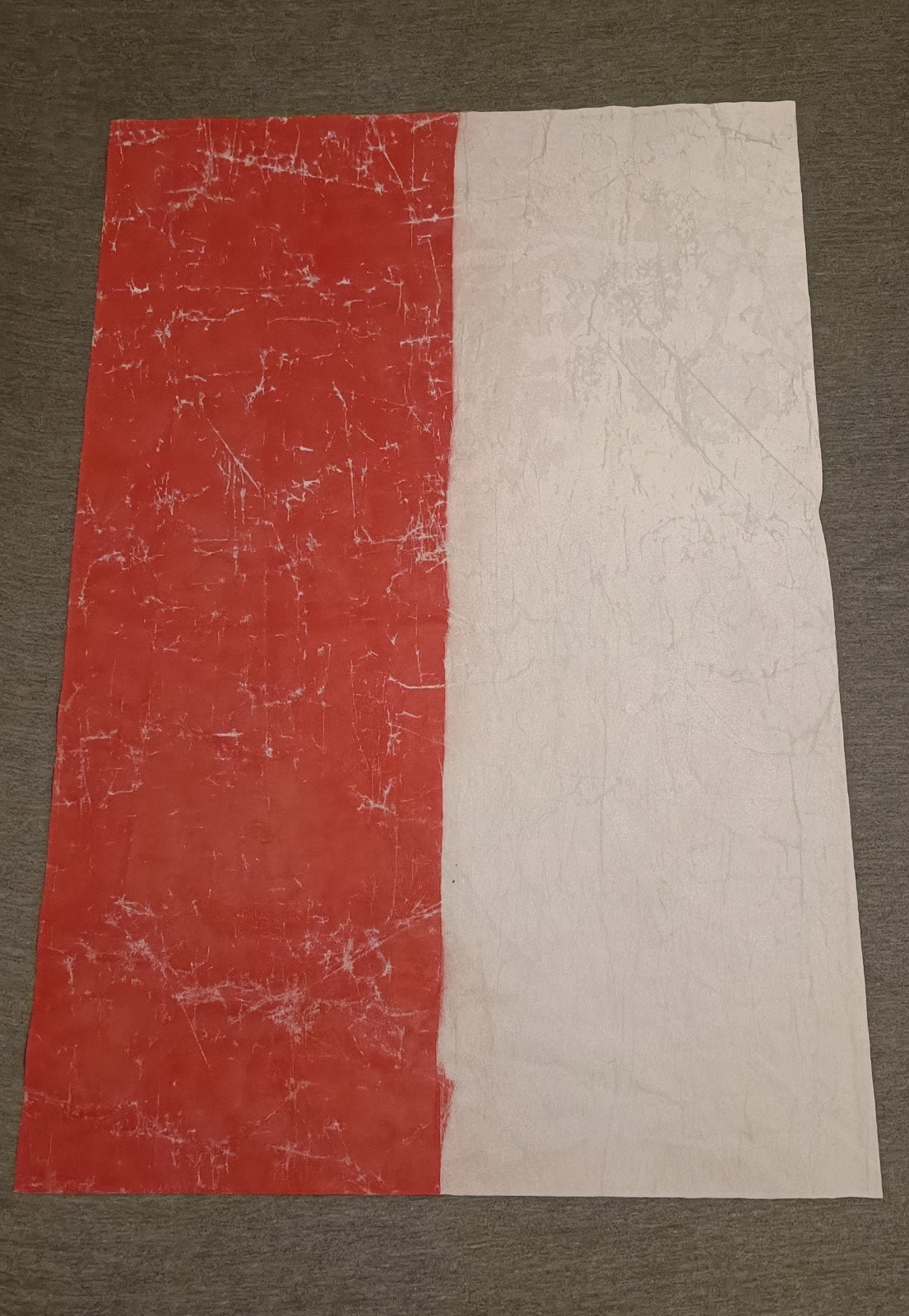 Feyenoord Iconische Sjaal stuk spandoek 60 x 90, Ophalen of Verzenden, Zo goed als nieuw, Feyenoord, Overige typen
