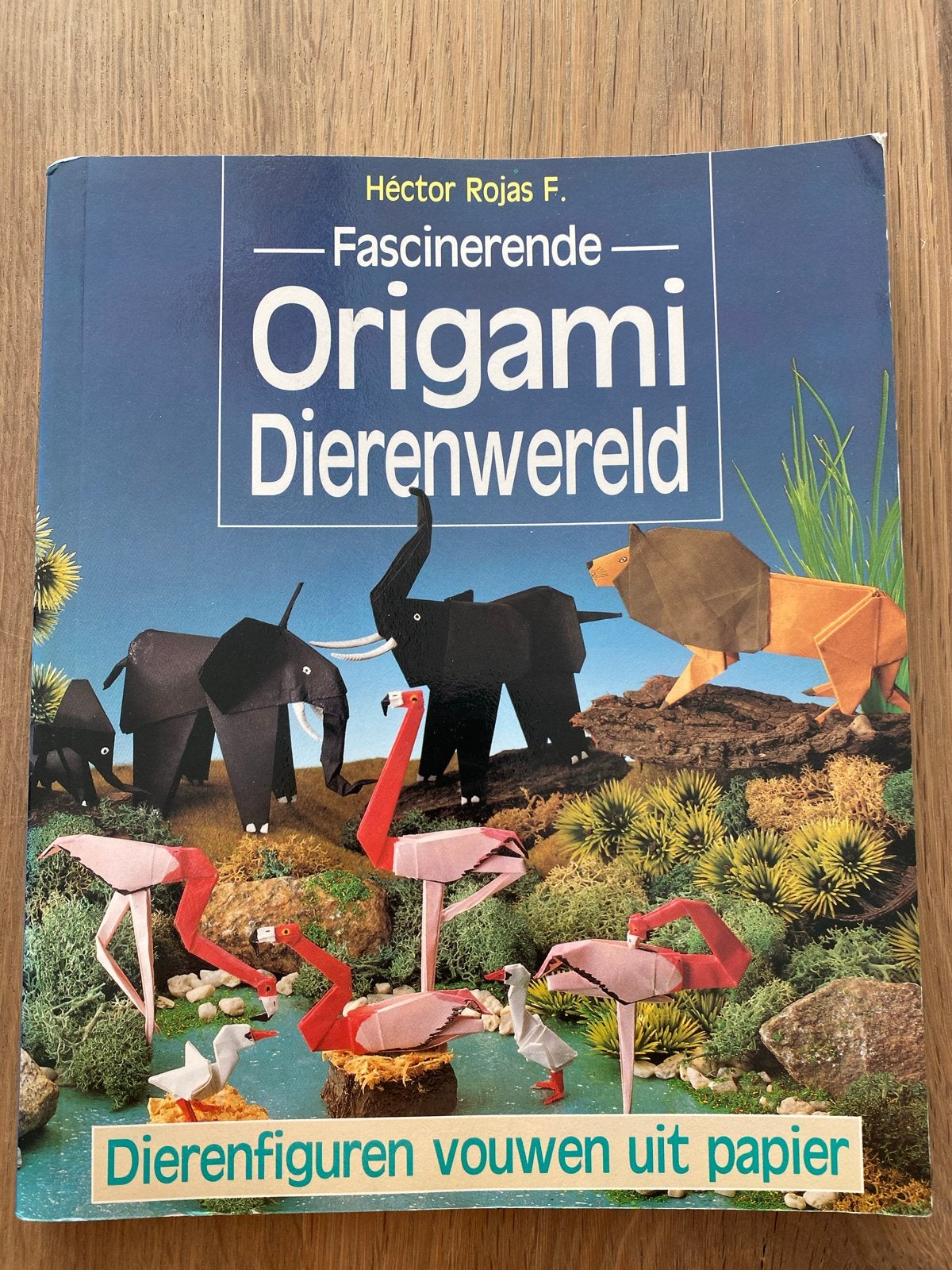 Fascinerende Origami Dierenwereld - Héctor Rojas F., Gelezen, Ophalen of Verzenden, Scrapbooking en Knutselen, Geschikt voor kinderen