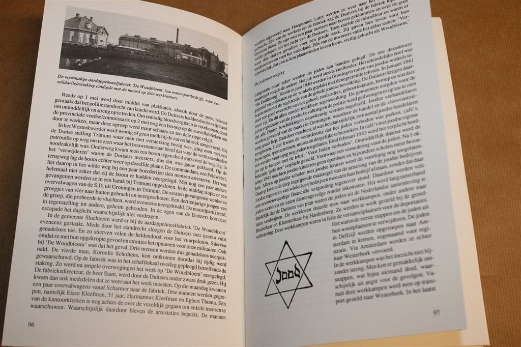 De Grote Waanzin — Hellum in de Eerste Wereldoorlog, Boeken, Ophalen of Verzenden, Gelezen