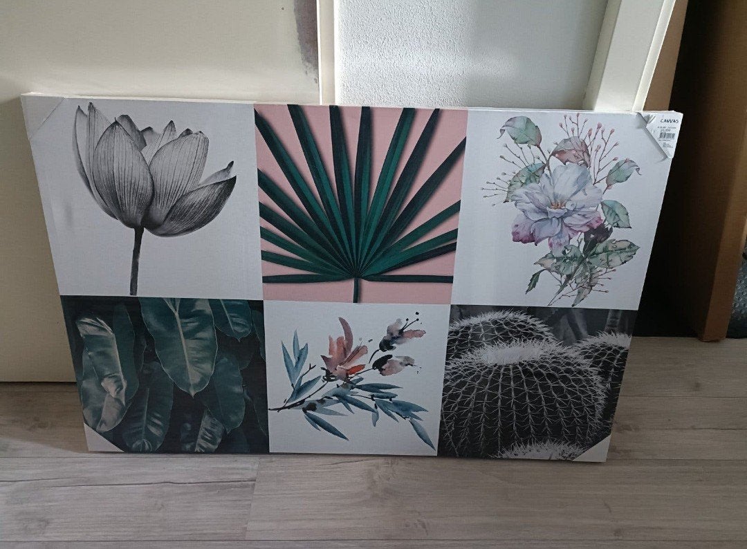 Gratis Canvas schilderij met botanische prints, Ophalen, 50 – 75, Nieuw, Schilderij