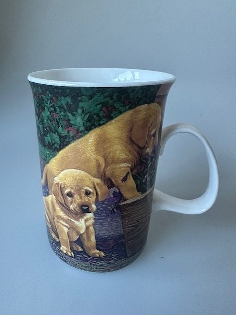 Mokken Labrador Puppies/ Jack Russel en Cats, Ophalen of Verzenden, Zo goed als nieuw