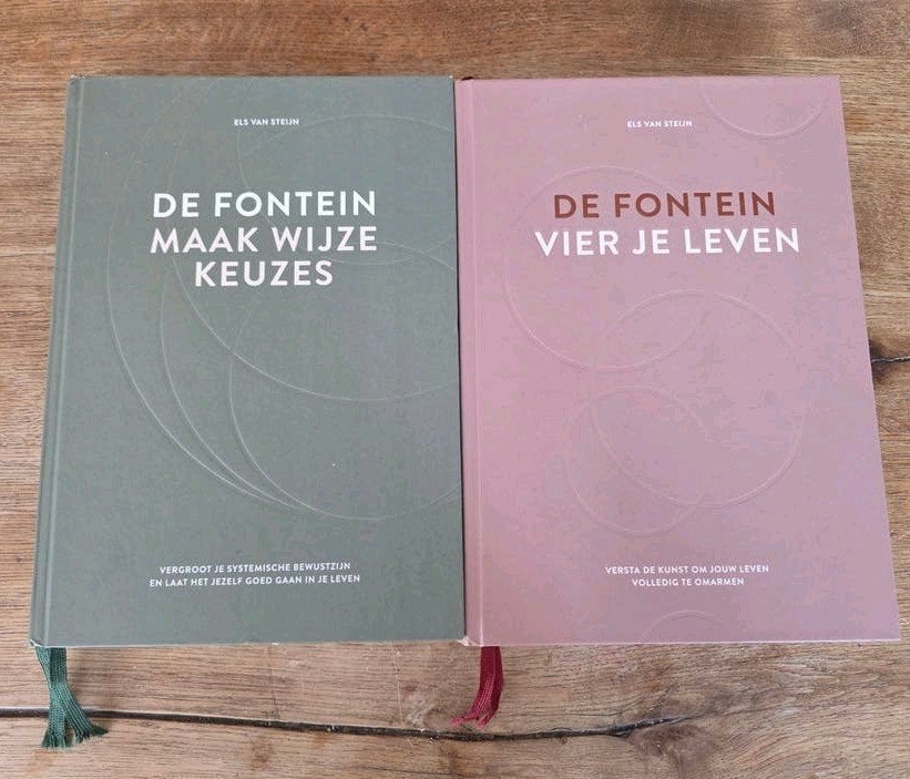 De Fontein: Maak wijze Keuzes & Vier je leven, Boeken, Ophalen of Verzenden, Zo goed als nieuw