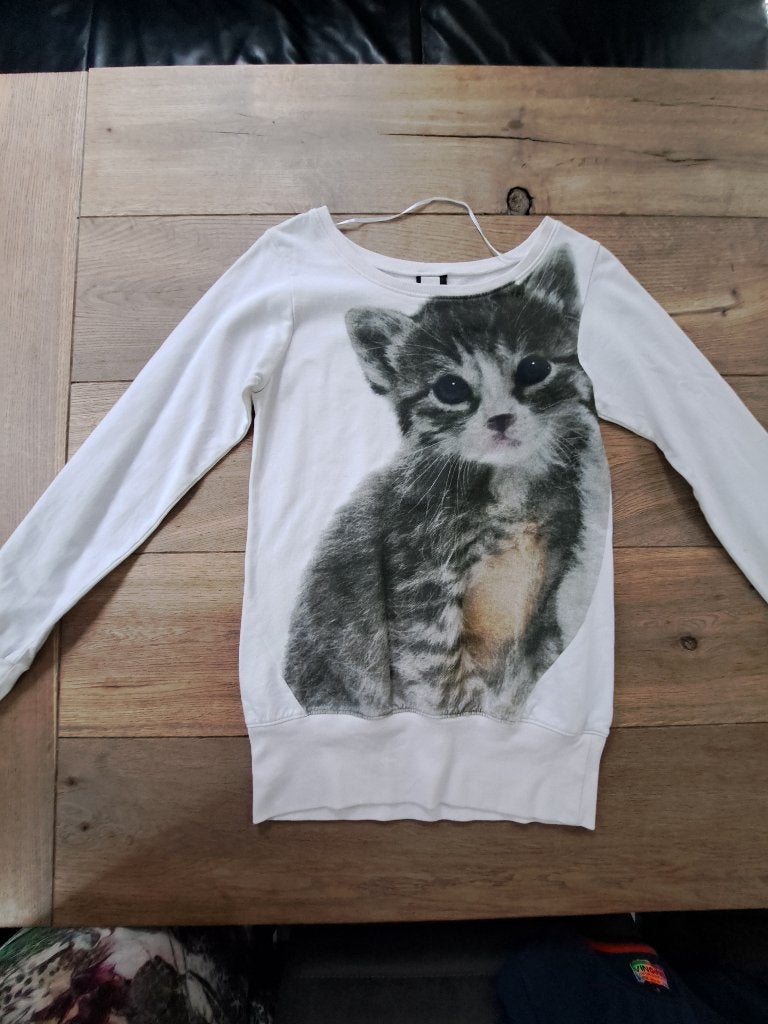 Sweater / trui kat 170, Meisje, Trui of Vest, H&M, Ophalen of Verzenden