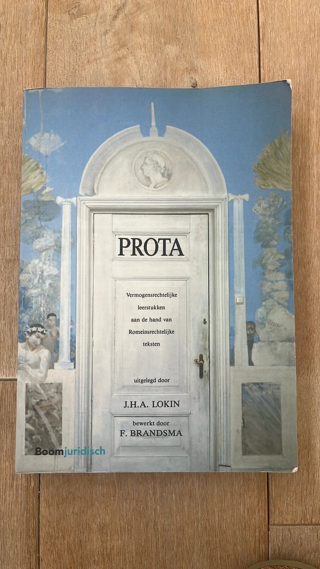 J.H.A. Lokin - Prota, Sociale wetenschap, Ophalen of Verzenden, Zo goed als nieuw, J.H.A. Lokin; F. Brandsma