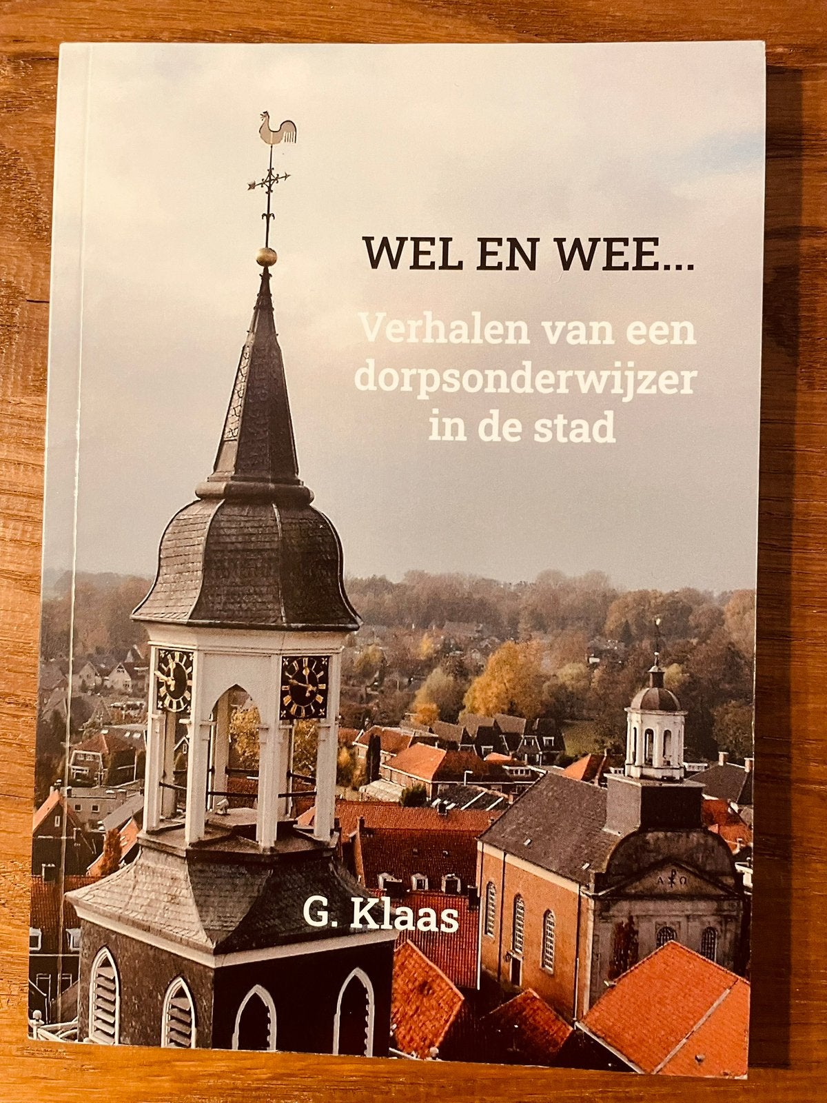 WEL EN WEE Verhalen van een dorpsonderwijzer in de stad, Ophalen of Verzenden, Zo goed als nieuw, Overige onderwerpen