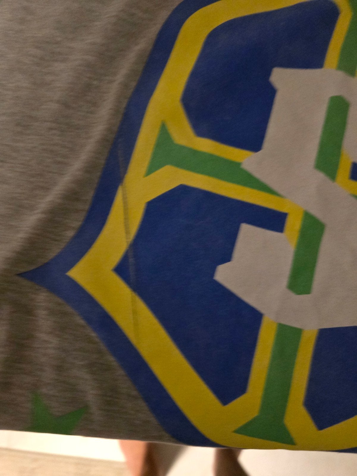 Grijs T-shirt met blauw, geel en groen logo, Kleding | Heren, Onbekend, Overige maten, Ophalen of Verzenden, Grijs