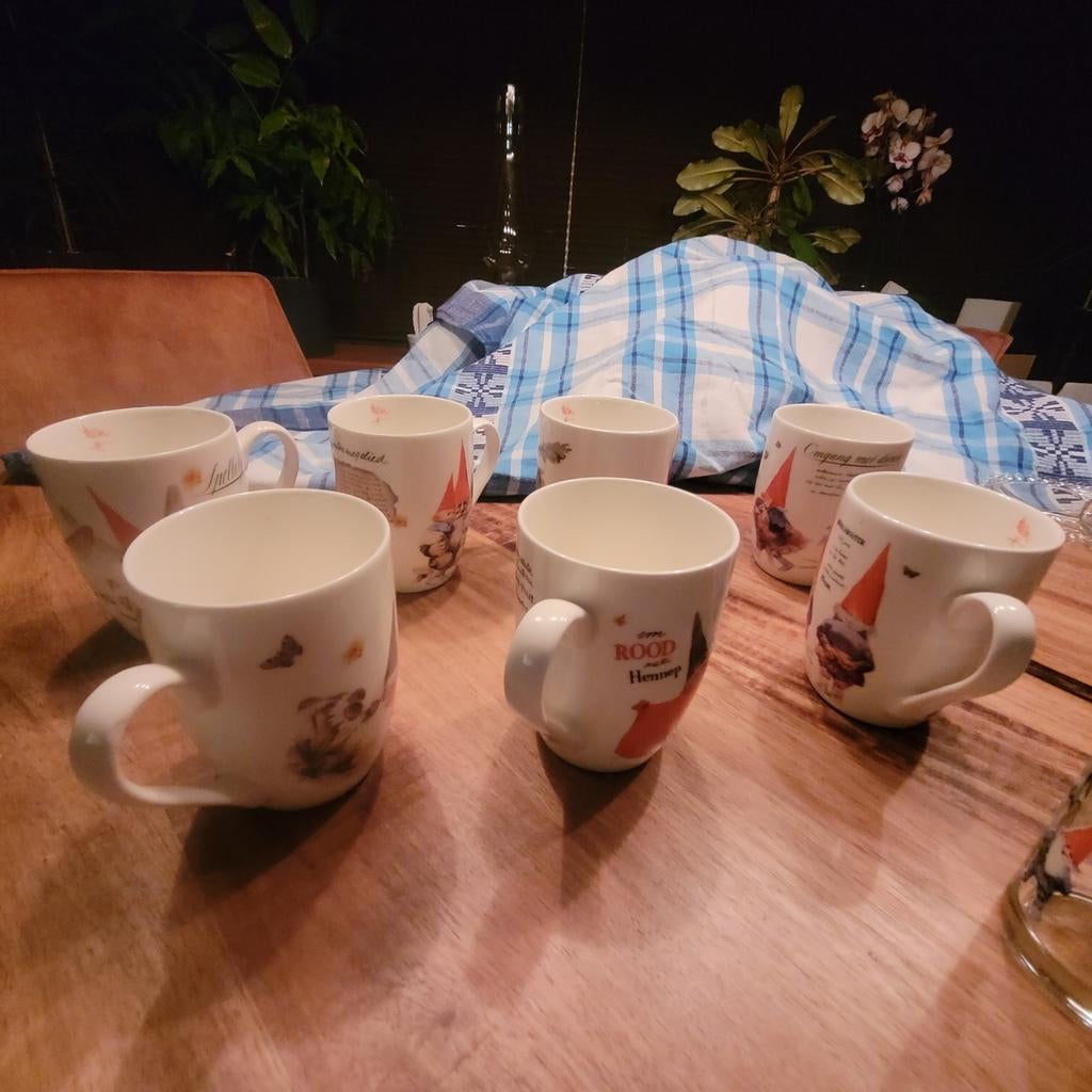 Rien Poortvliet. David de Kabouter, Antiek en Kunst, Antiek | Servies compleet, Ophalen