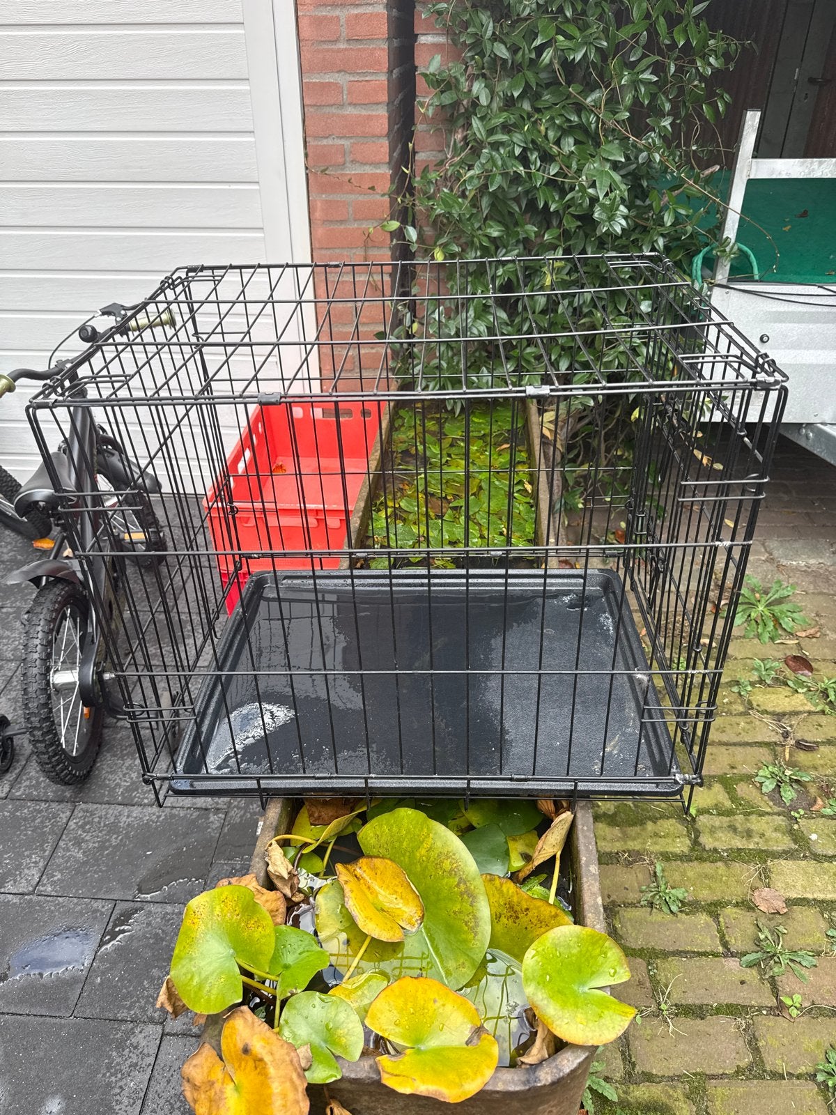 Benches, Dieren en Toebehoren, Ophalen