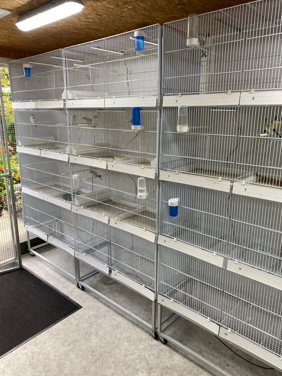 Zo goed als nieuwe broedkooien, Dieren en Toebehoren, Ophalen of Verzenden
