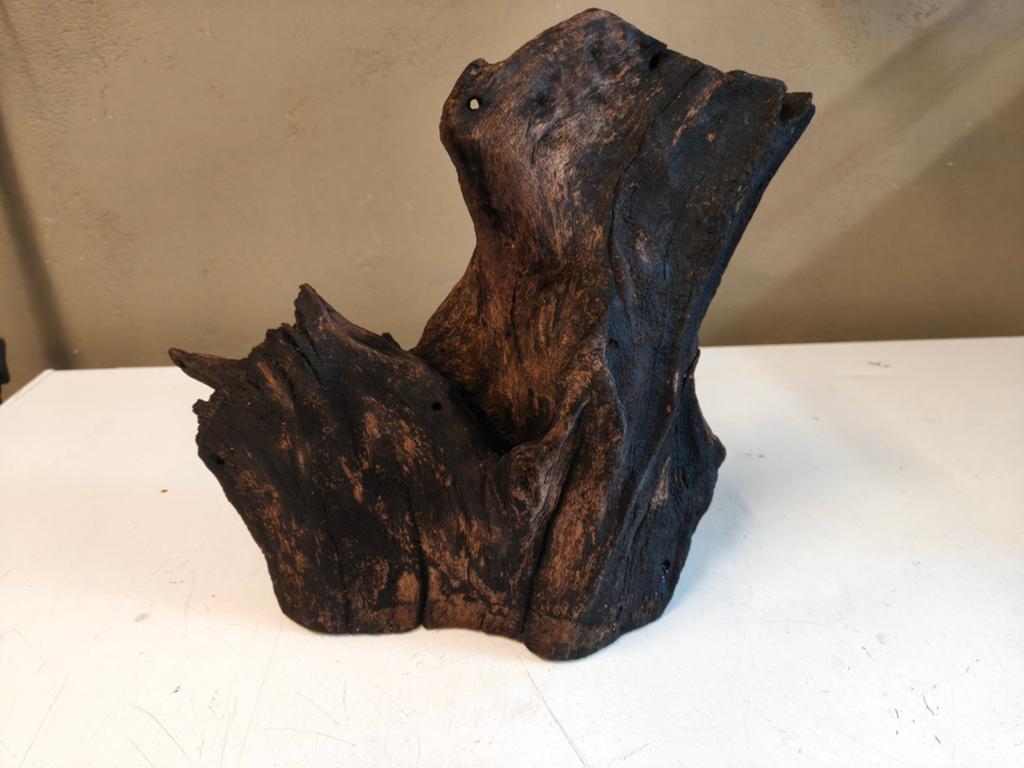 Mooi stuk kienhout, Dieren en Toebehoren, Ophalen of Verzenden, Plant(en), Steen of Hout