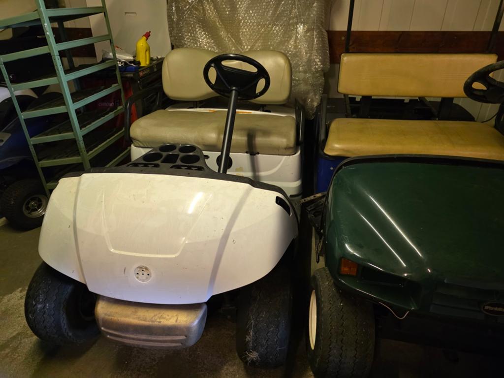 7 Golfkarren Vloot en 2 driewielers, zonder accus, Sport en Fitness, Golf, Ophalen, Golfkar