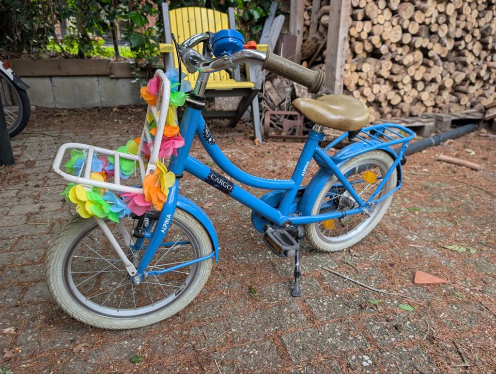 Alpina cargo kinderfiets 16 inch, Fietsen en Brommers, Ophalen, Gebruikt, 16 tot 20 inch