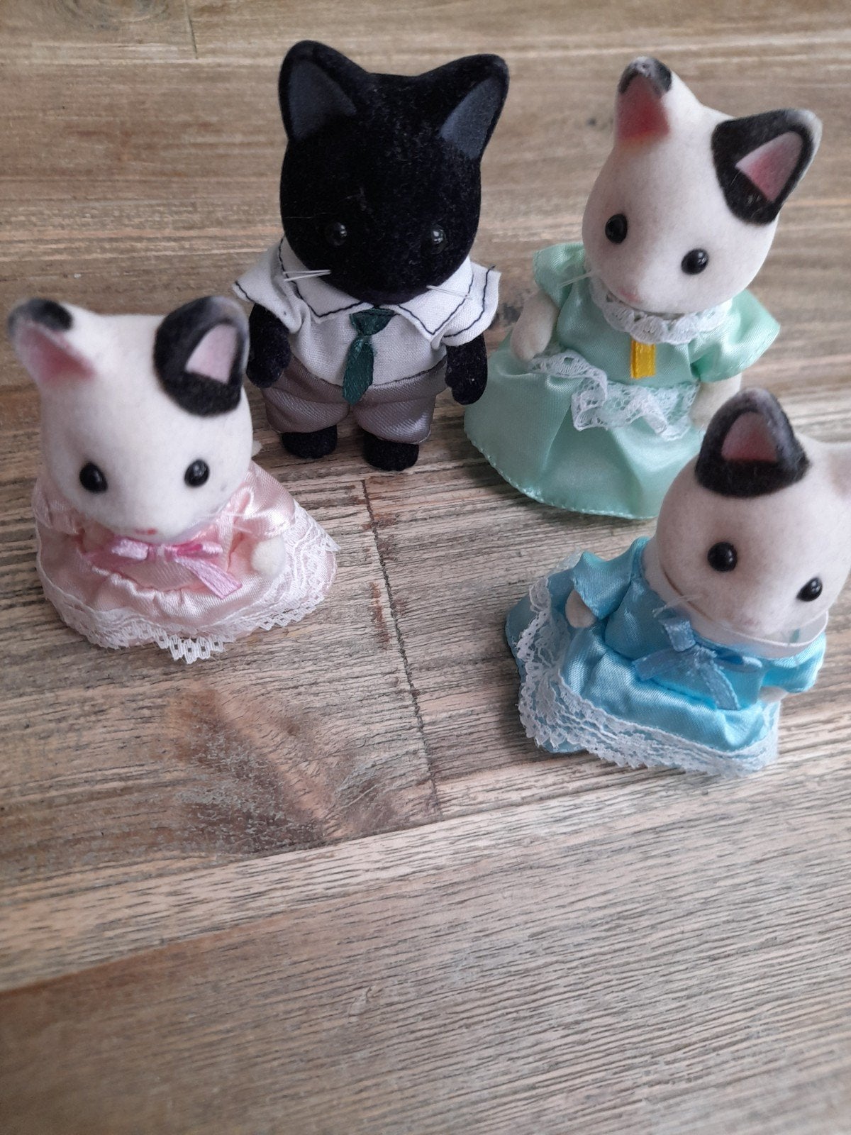 Sylvanian kat, Ophalen of Verzenden, Zo goed als nieuw, Poppenhuis