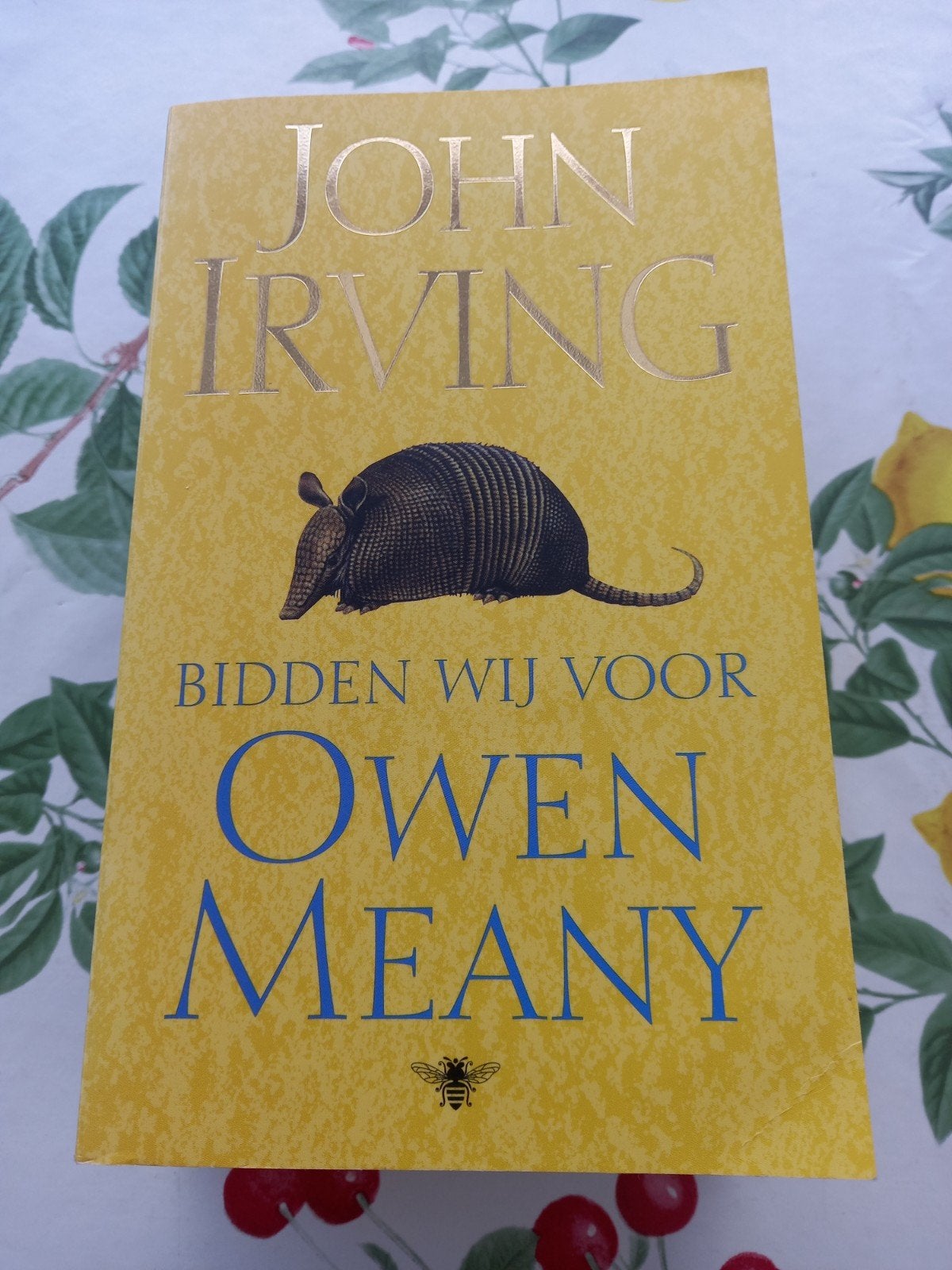 m11 John Irving - Bidden wij voor Owen Meany, Boeken, Zo goed als nieuw, Nederland, John Irving, Ophalen of Verzenden
