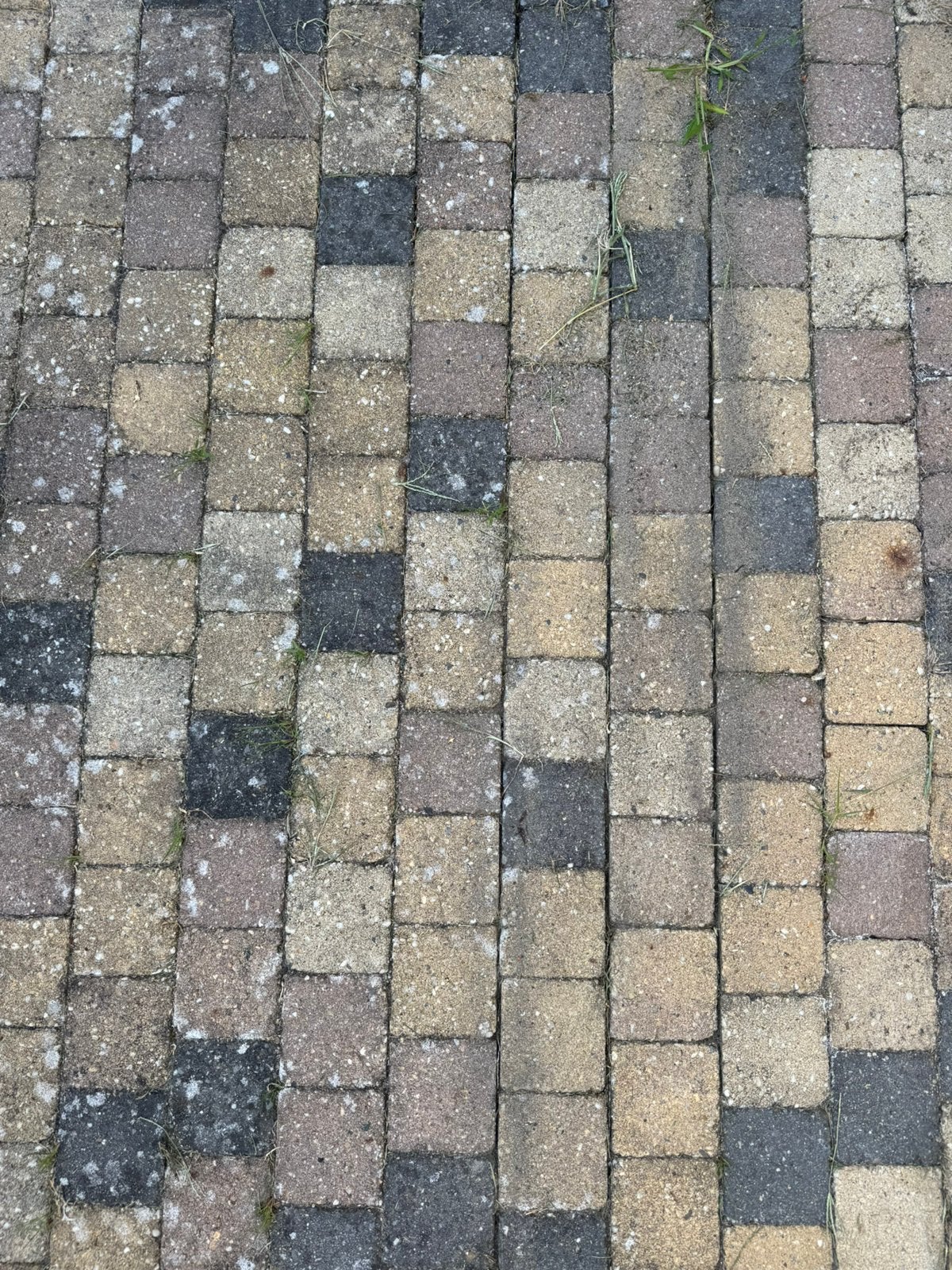 Tuin klinkers beton 10x10 - 4,5 vierkante meter, Ophalen, Gebruikt, Beton, Klinkers