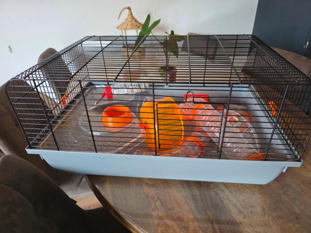 Hamsterkooi, Dieren en Toebehoren, Knaagdieren en Konijnen | Hokken en Kooien, Minder dan 60 cm, Kooi, Gebruikt, Minder dan 75 cm