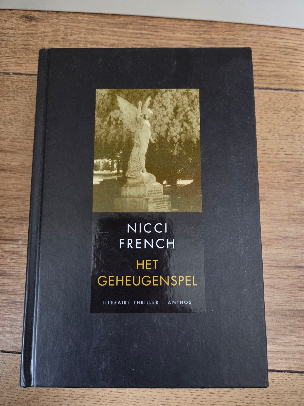 Boek het geheugenspel, Ophalen of Verzenden, Nieuw