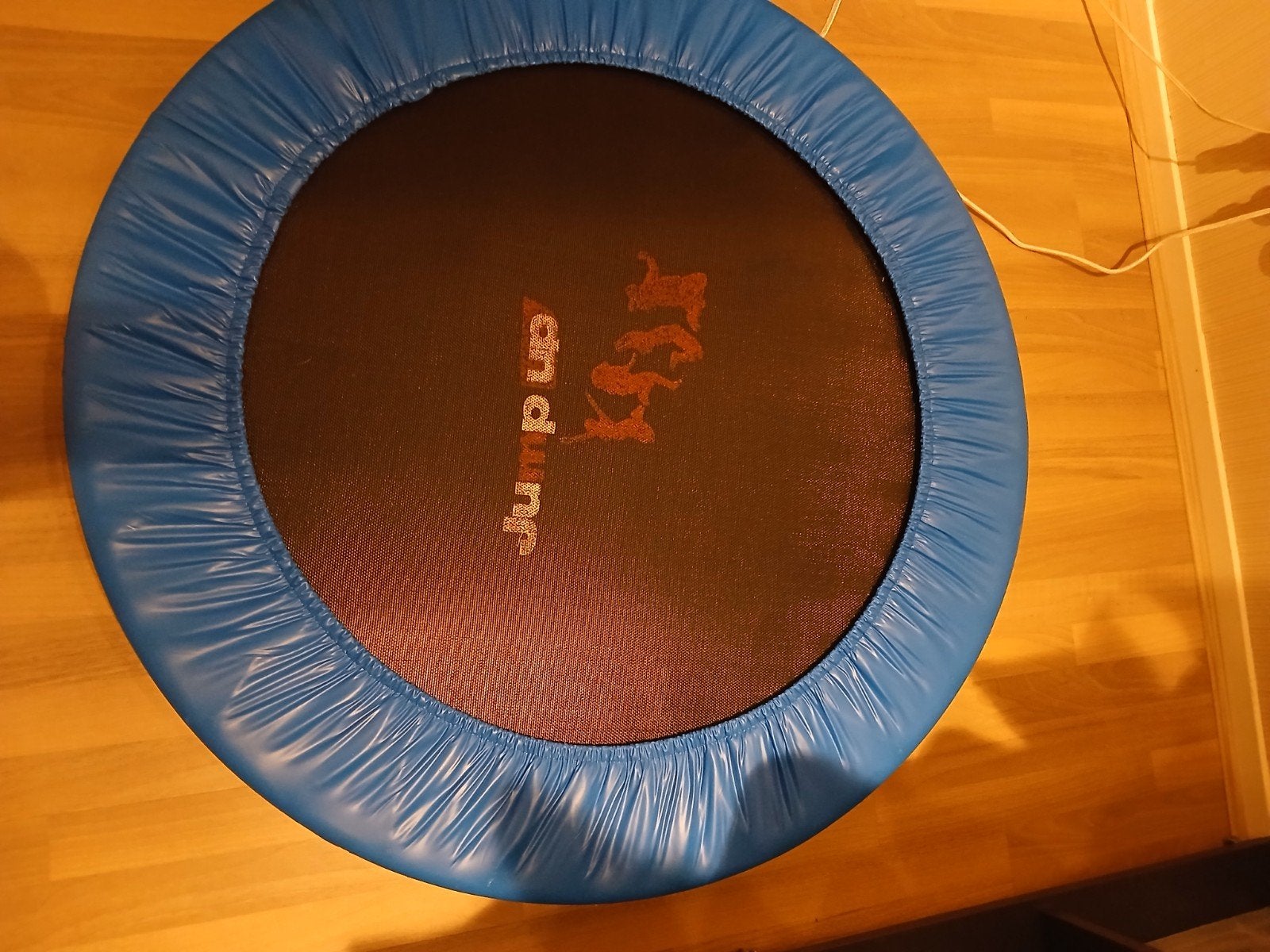 fitness trampoline, Sport en Fitness, Ophalen, Gebruikt, Overige typen