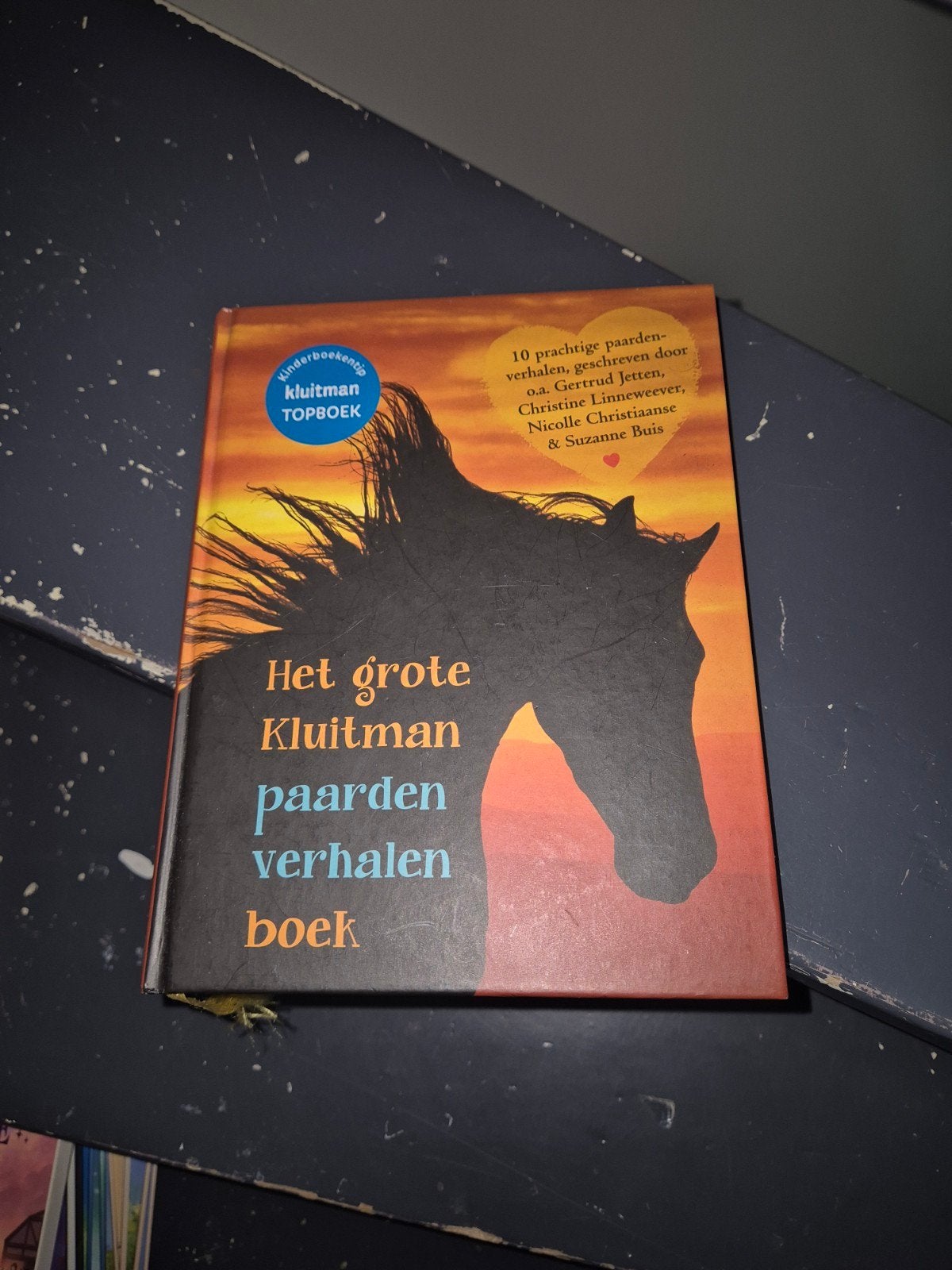 Paarden leesboeken. Zie foto's en tekst voor prijzen., Ophalen, Gelezen, Non-fictie