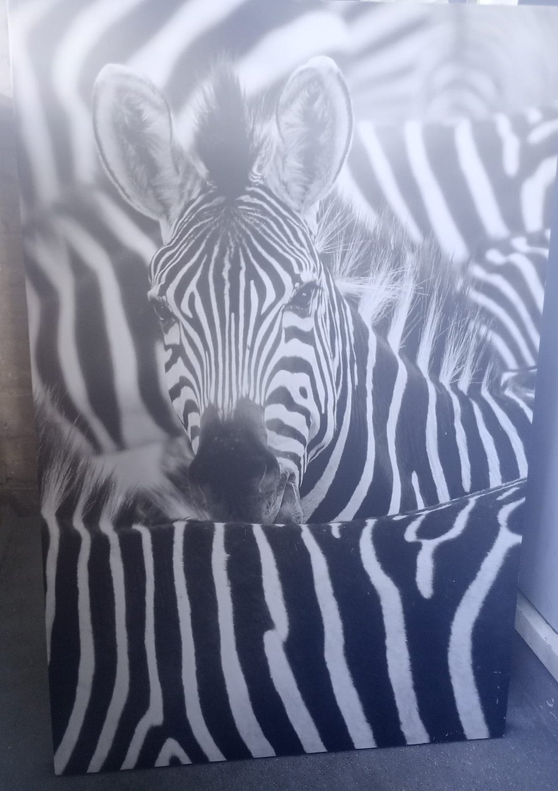 Zebra schilderij, Antiek en Kunst, Kunst | Litho's en Zeefdrukken, Ophalen of Verzenden