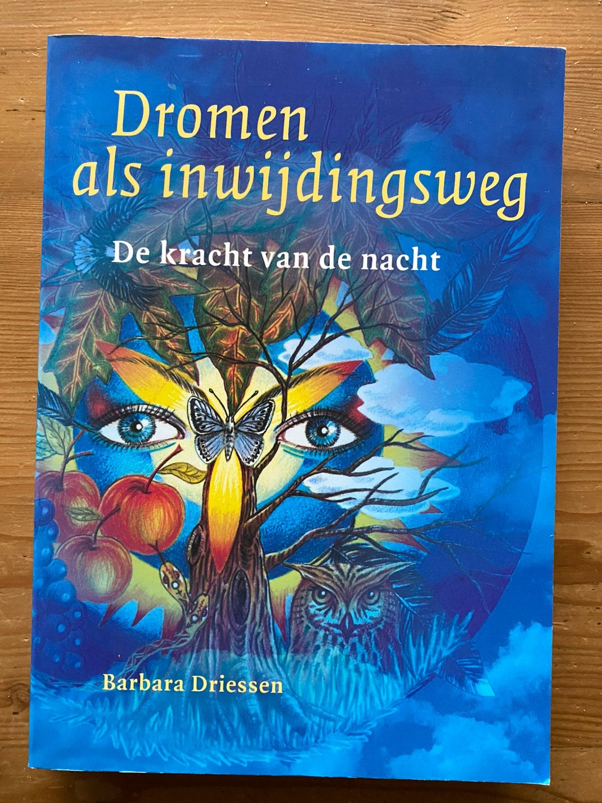 Dromen als inwijdingsweg - Barbara Driessen, Boeken, Ophalen of Verzenden, Zo goed als nieuw, Overige onderwerpen, Achtergrond en Informatie