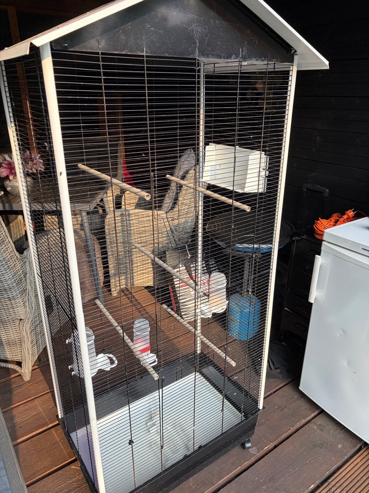 Vogel kooi, Meerdere dieren, Parkiet