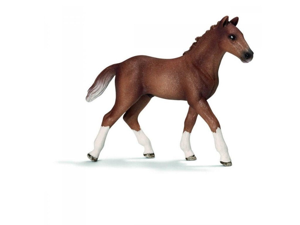 Schleich 13730 hann veulen, dierfiguur, Ophalen of Verzenden, Zo goed als nieuw, Paard, Beeldje of Figuurtje