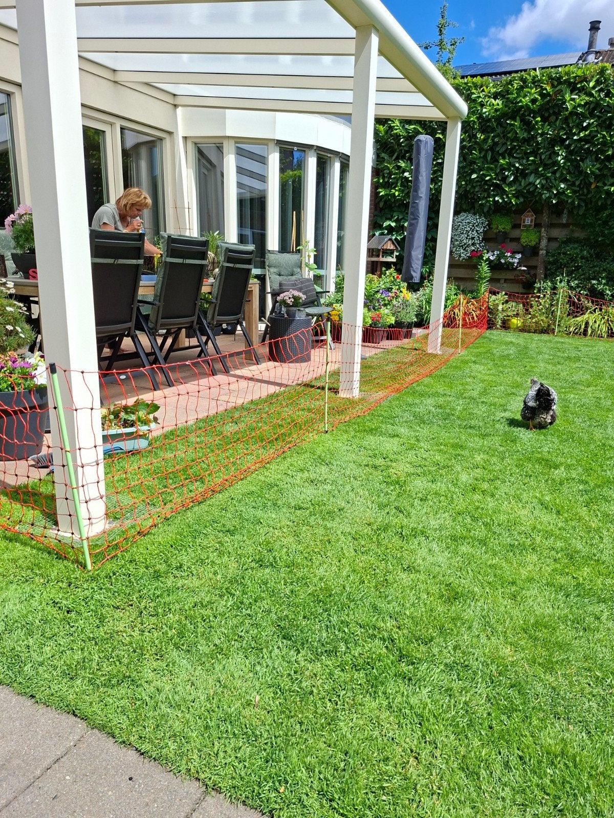 Afrasteringnet voor honden of kippen, Ophalen